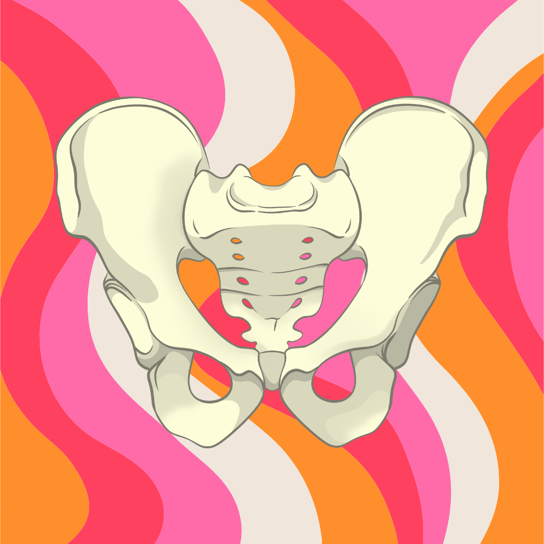pelvic floor therapy